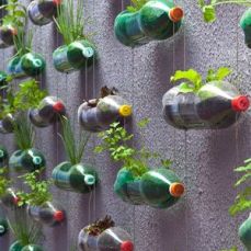 recycled bottle vertical herb garden